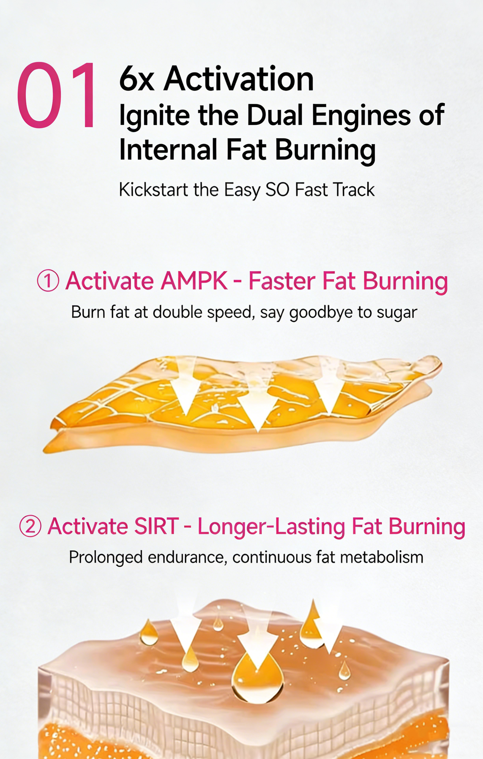 Podeey Ribose-FOS GLYCO DYNA