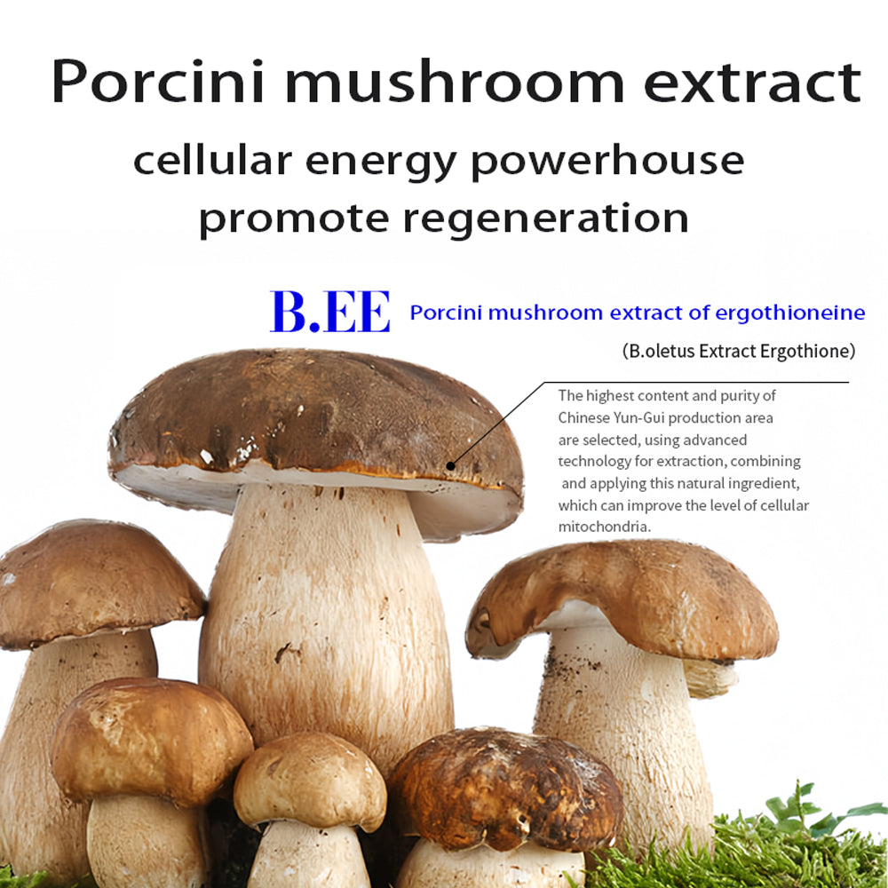 Podeey GABA Artichoke Curcumin Porcinum Softgelsn